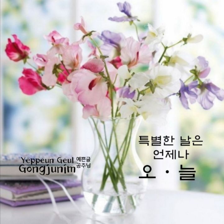 사는동안꽃처럼 이미지