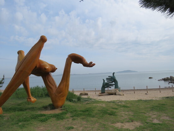 바다의 형제 이미지