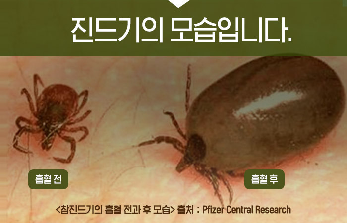 건강한집 이미지