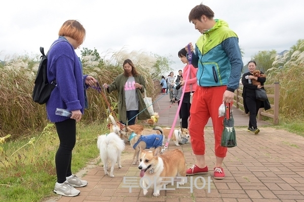 빨강 이미지