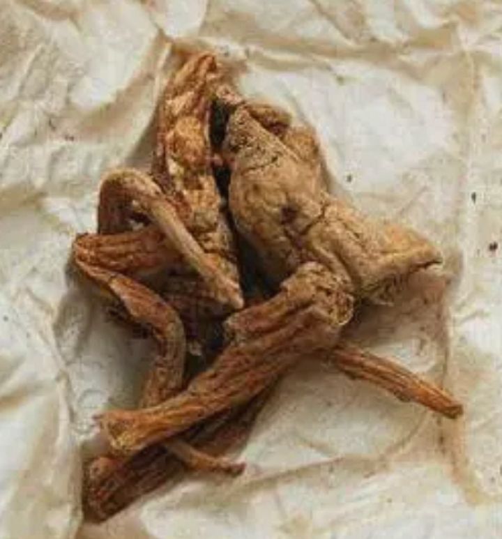 천년인삼 이미지