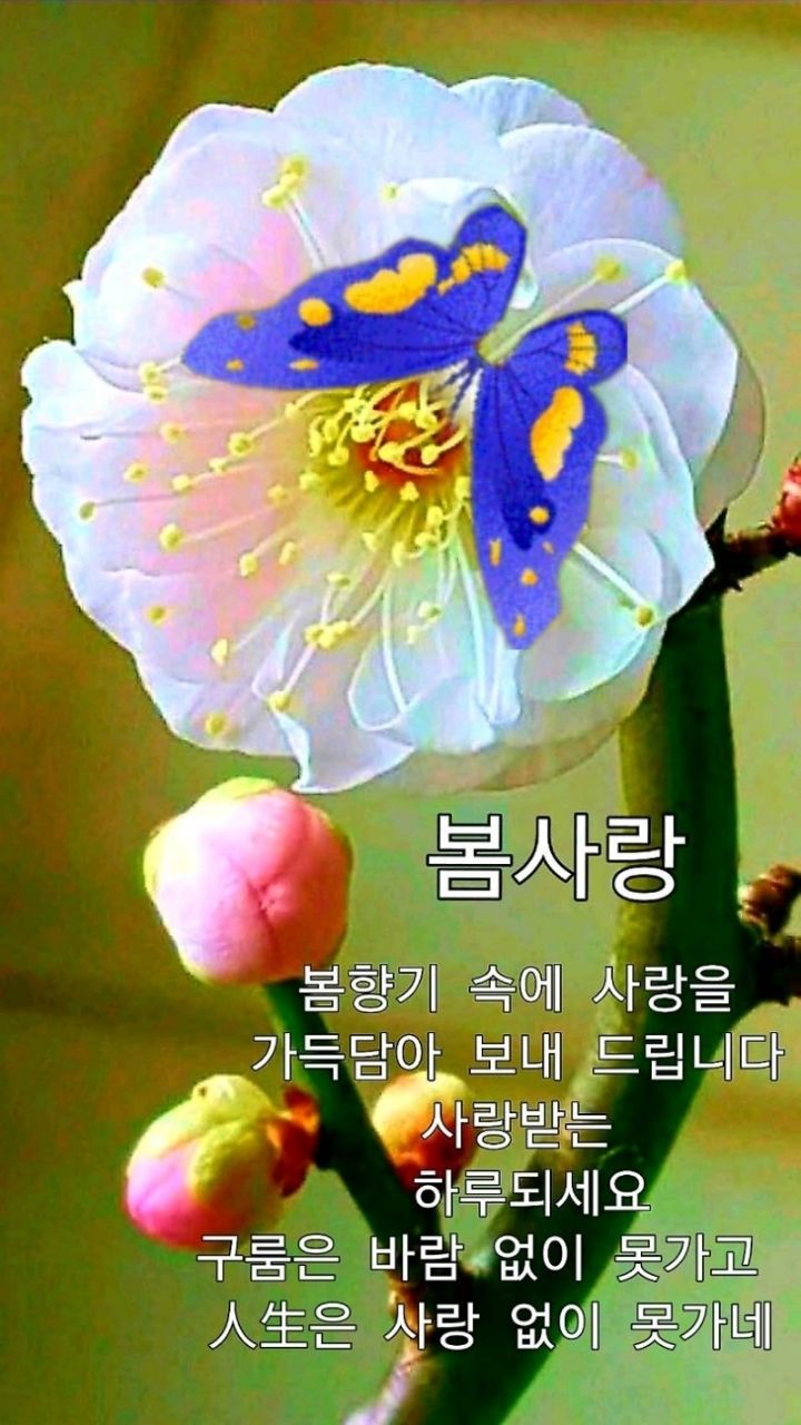 사랑가득핀 이미지