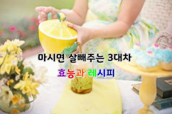 살빼 이미지