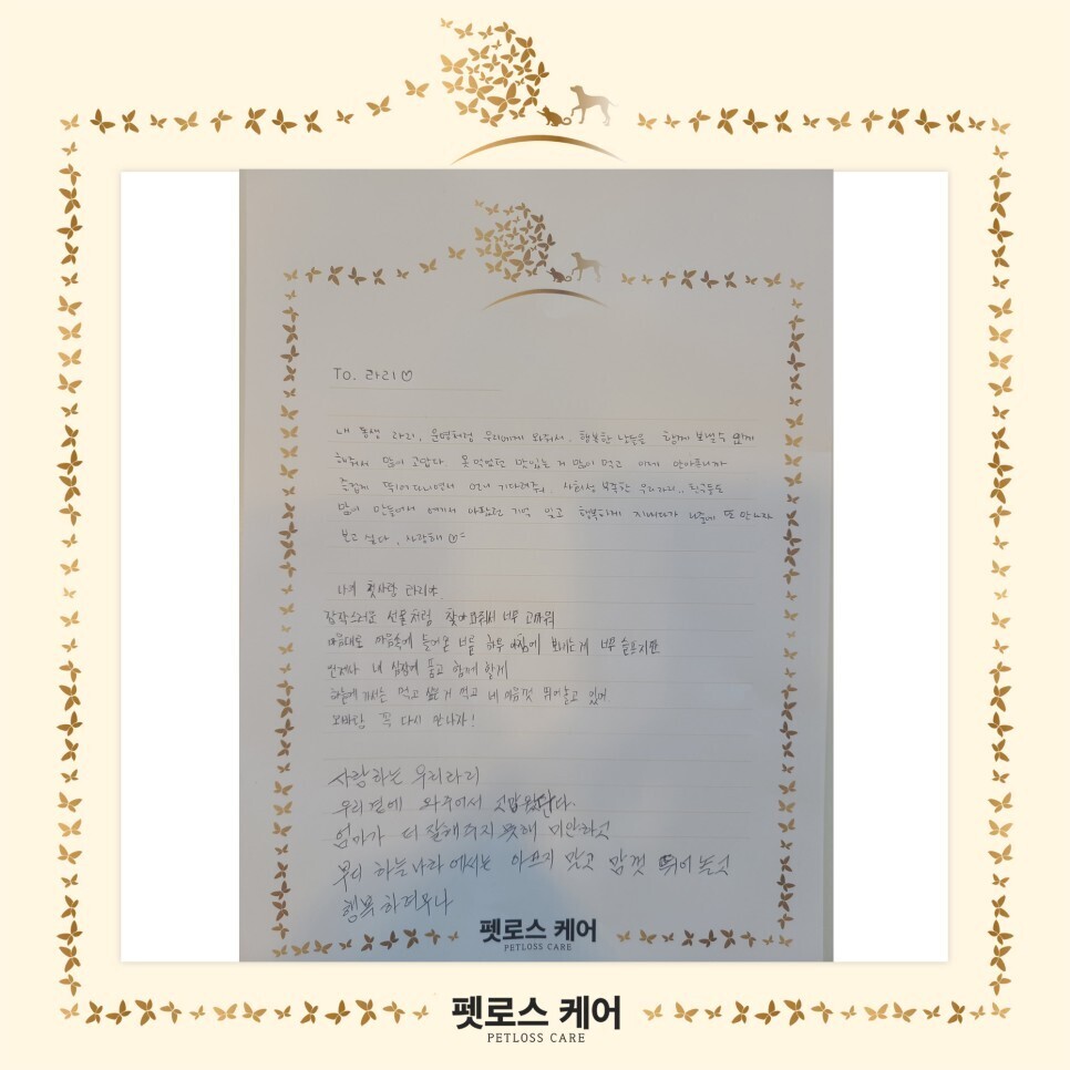 무지개케어 이미지