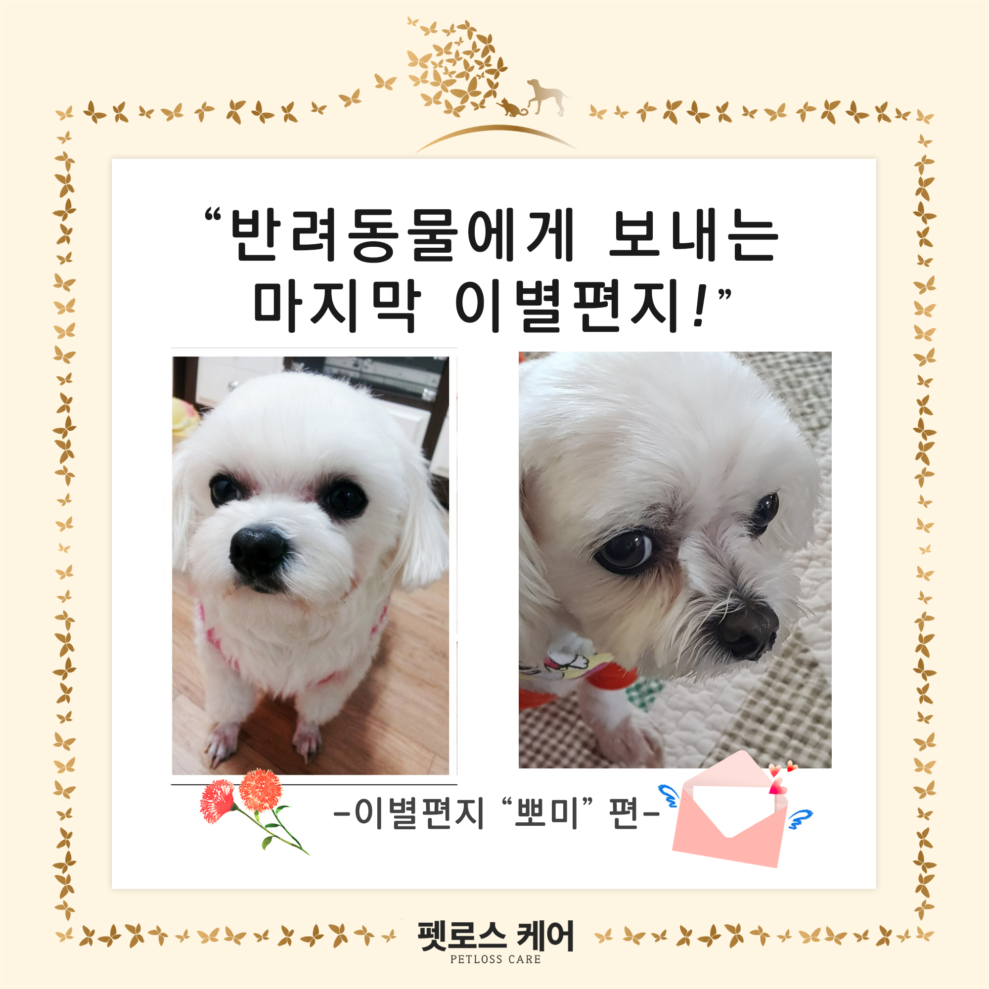 무지개케어 이미지
