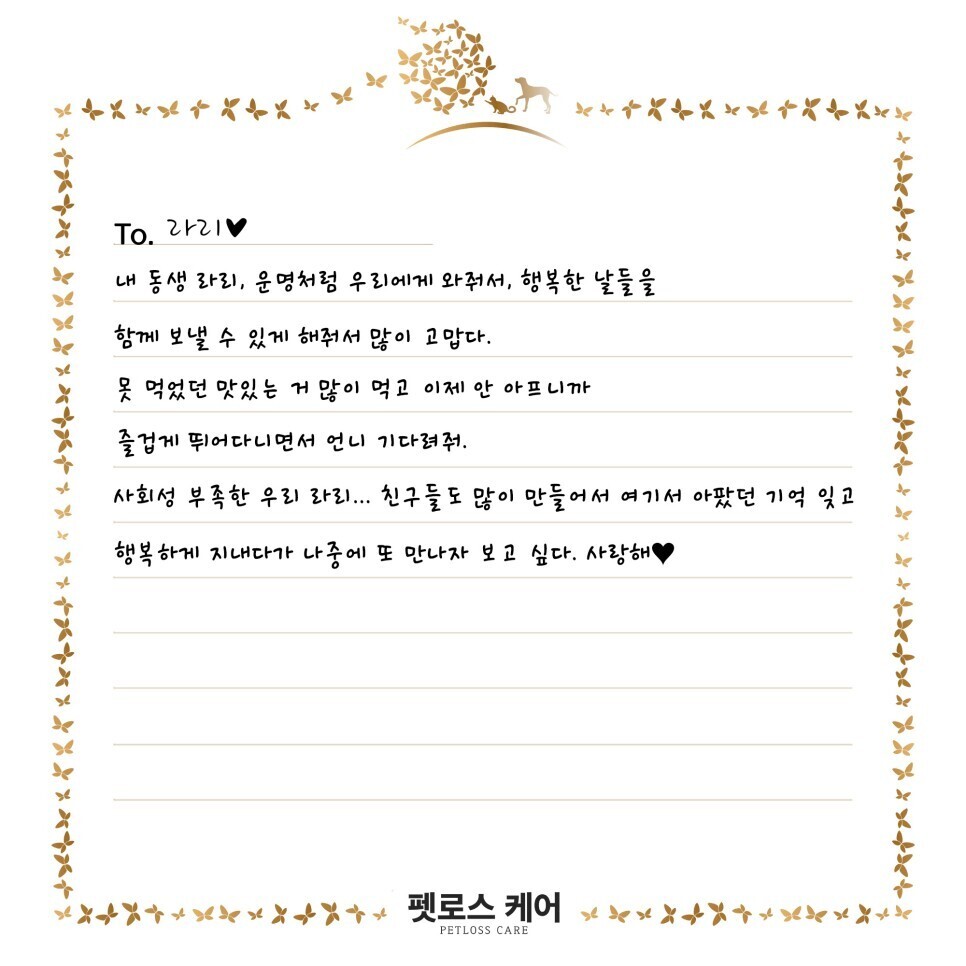 무지개케어 이미지