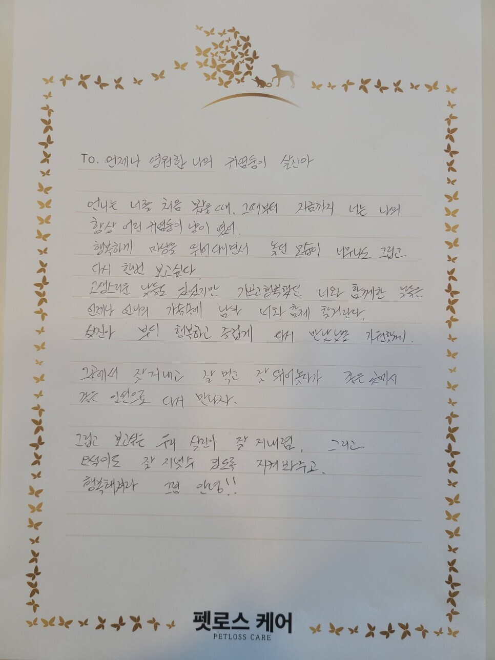 무지개케어 이미지