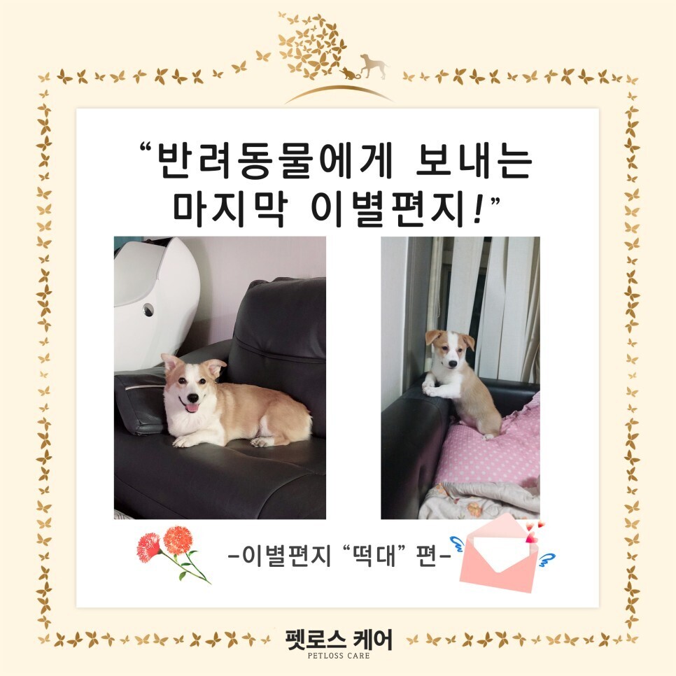 무지개케어 이미지