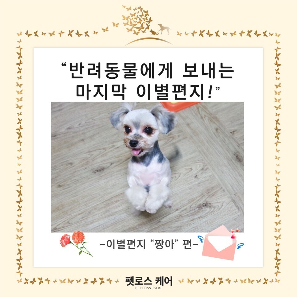 무지개케어 이미지