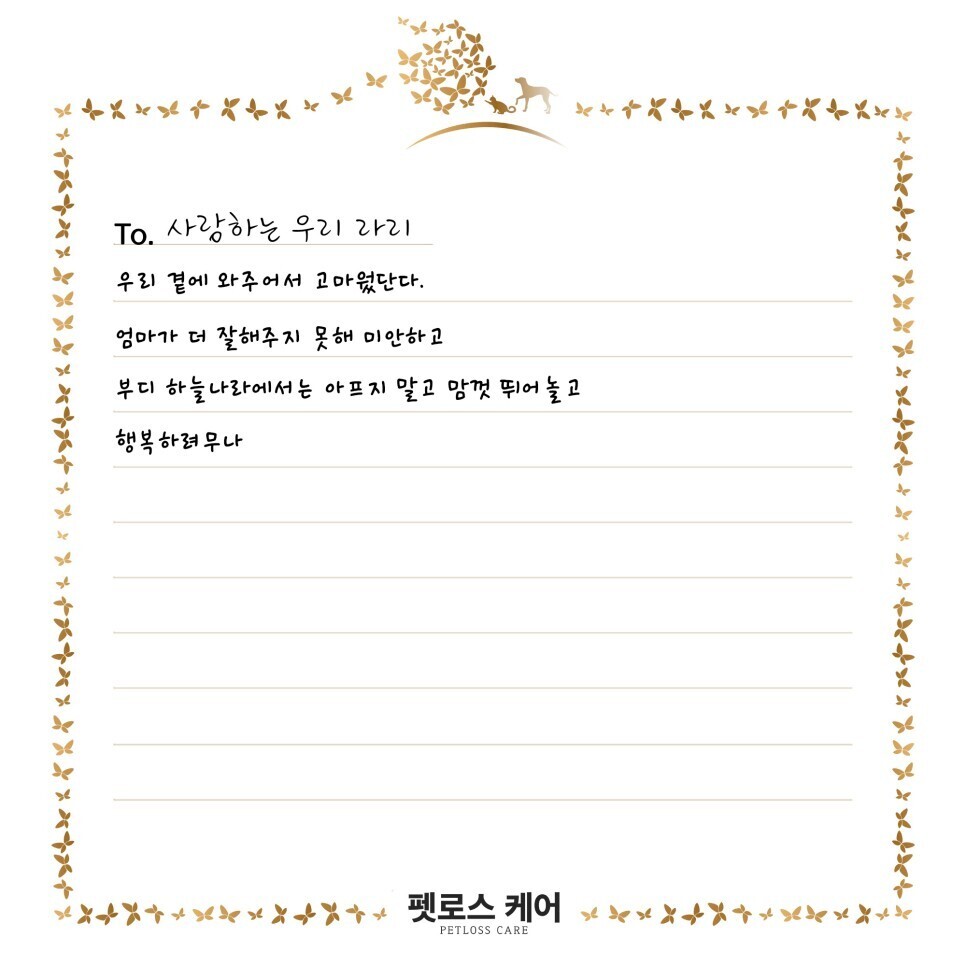 무지개케어 이미지
