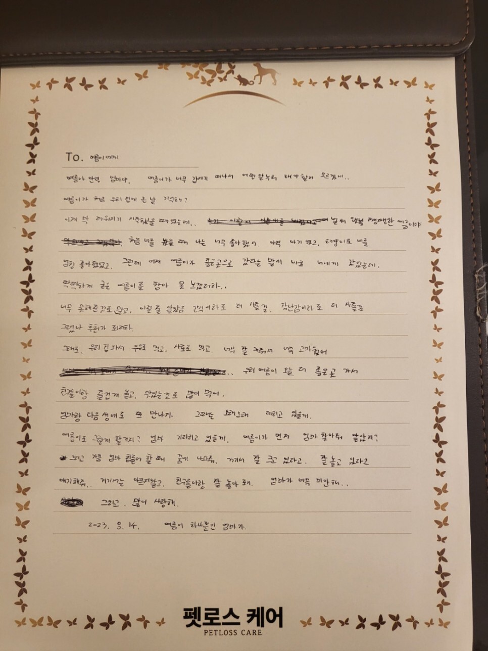 고양이편지 이미지