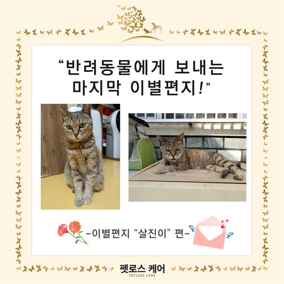 무지개케어 이미지