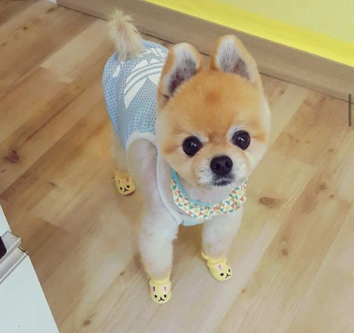 무지개케어 이미지