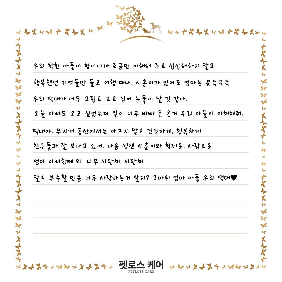 무지개케어 이미지