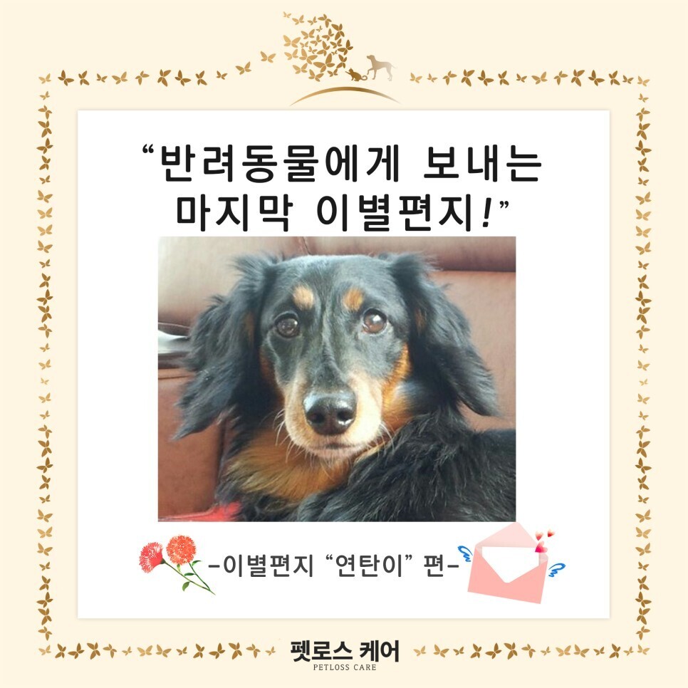 무지개케어 이미지
