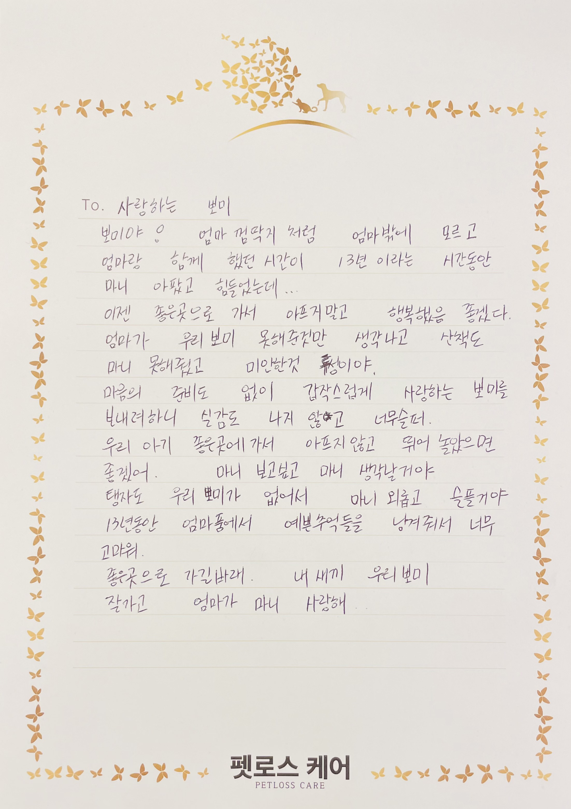 무지개케어 이미지