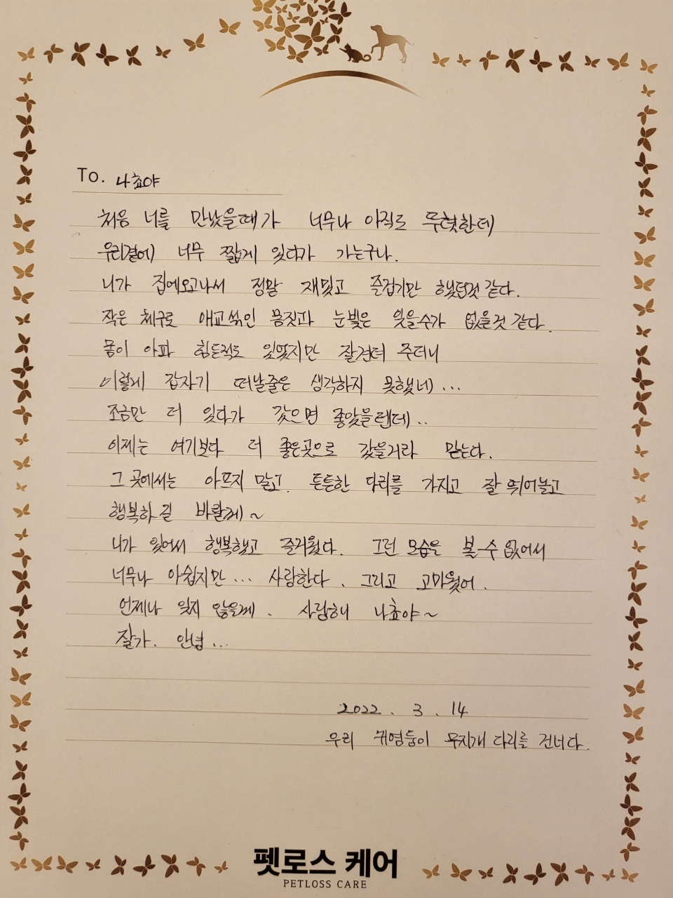 무지개케어 이미지