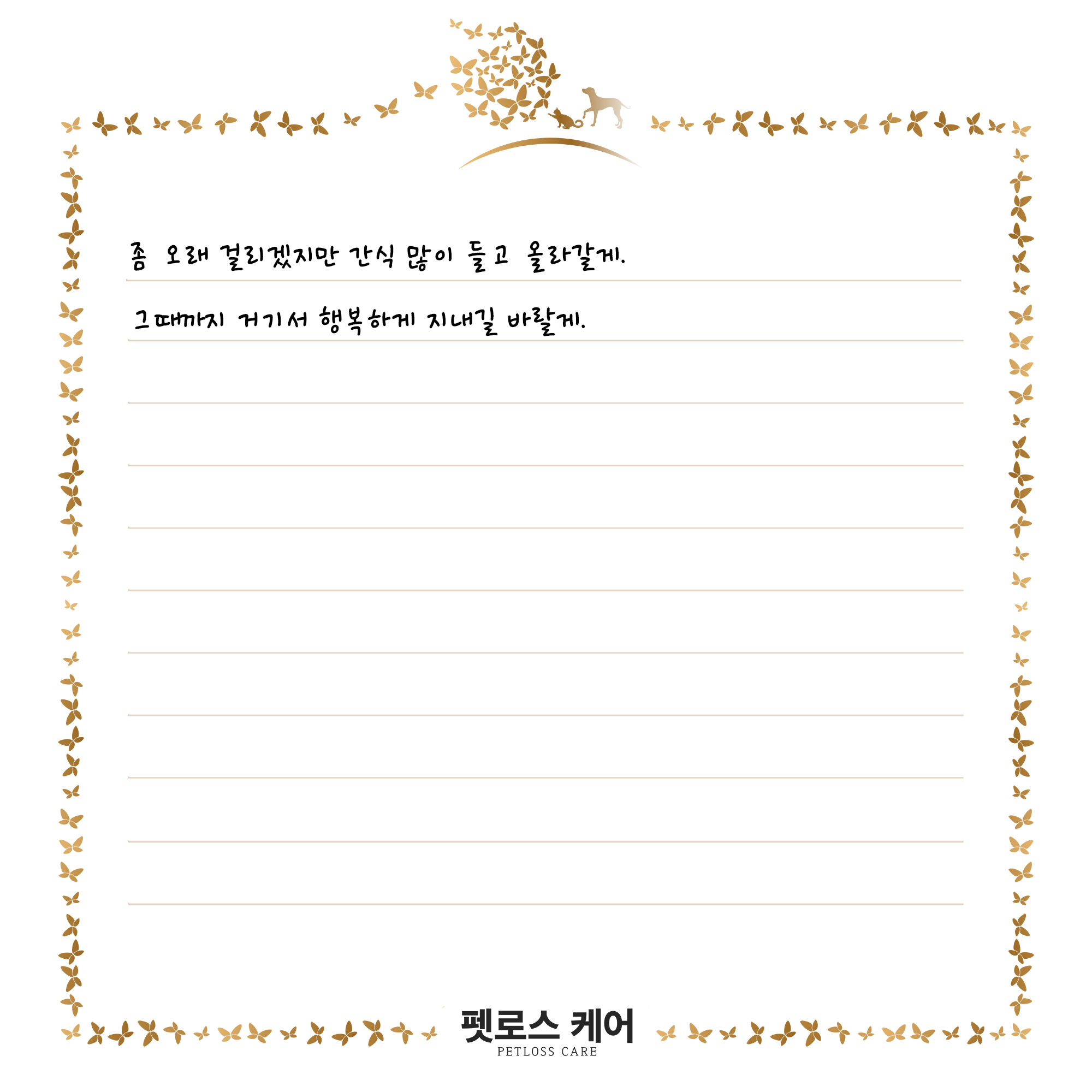 무지개케어 이미지