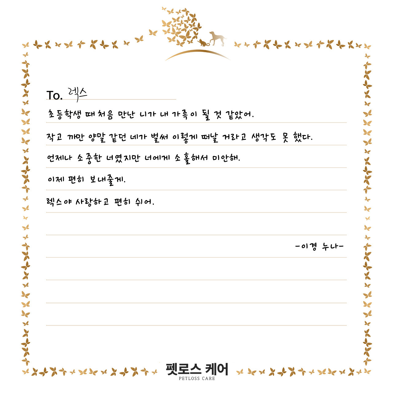 무지개케어 이미지