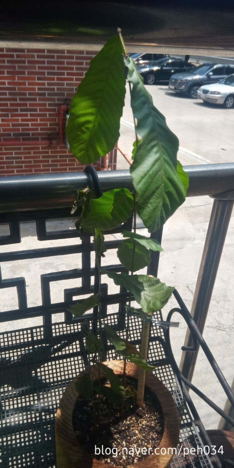 일이삼 이미지