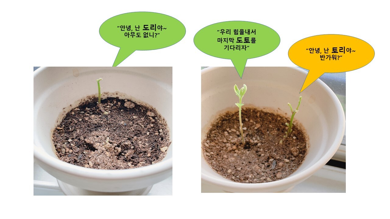 토리엔지니어링 이미지