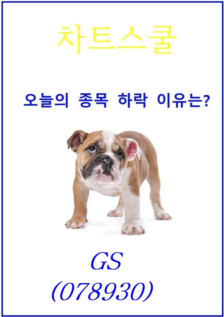 (주)지에스이앤알 이미지