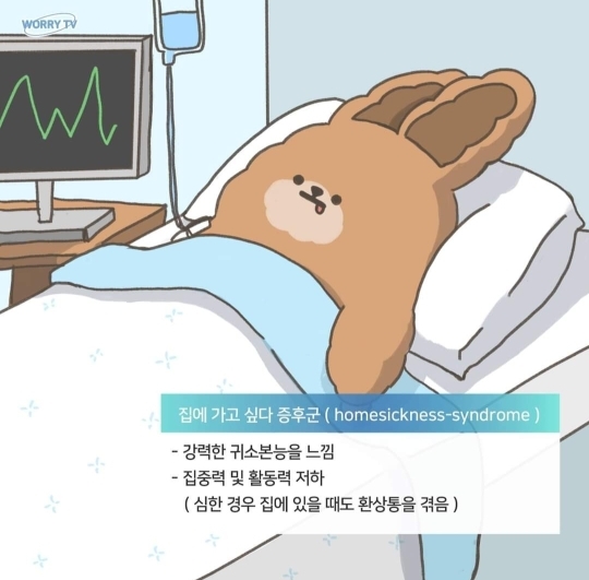 블레블레 이미지