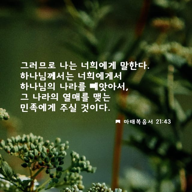 그나라 이미지