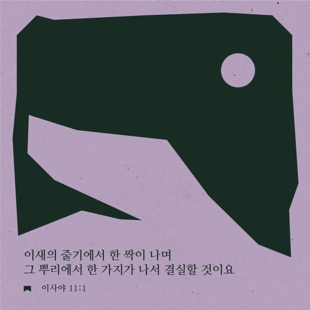 이새 이미지