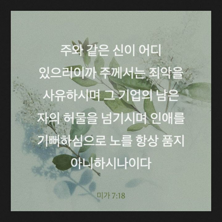 주 미가 이미지