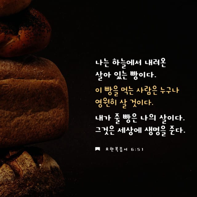 떡세상 이미지