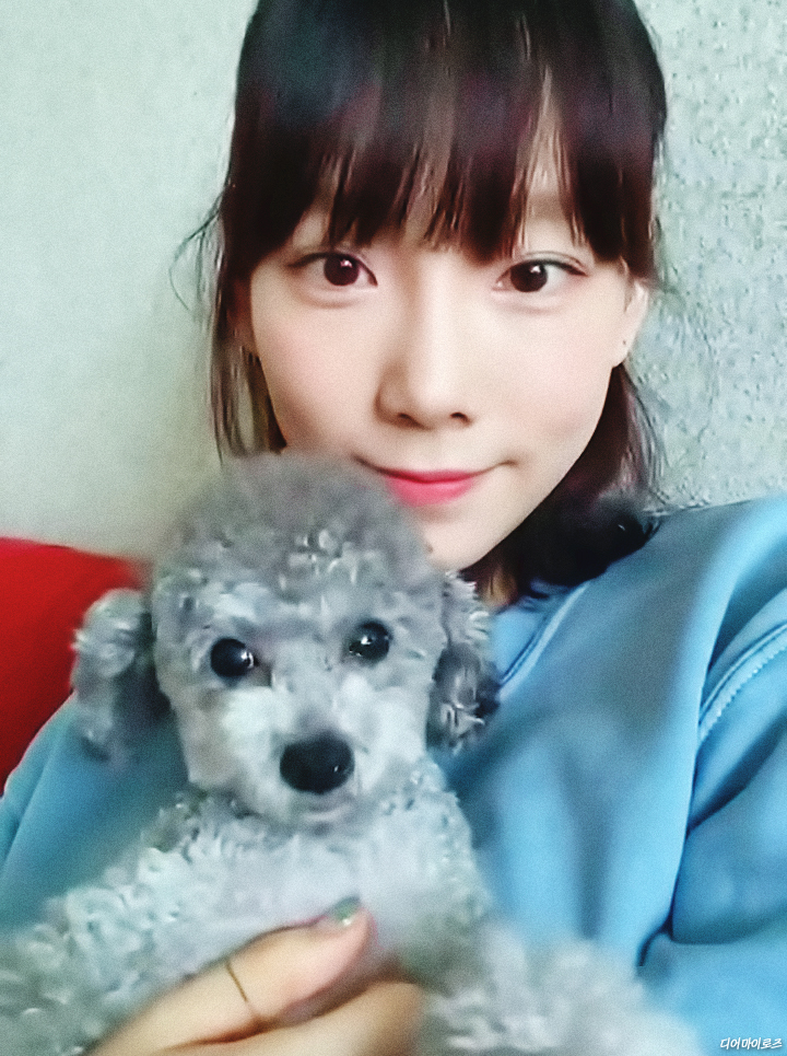 태연라이브 이미지