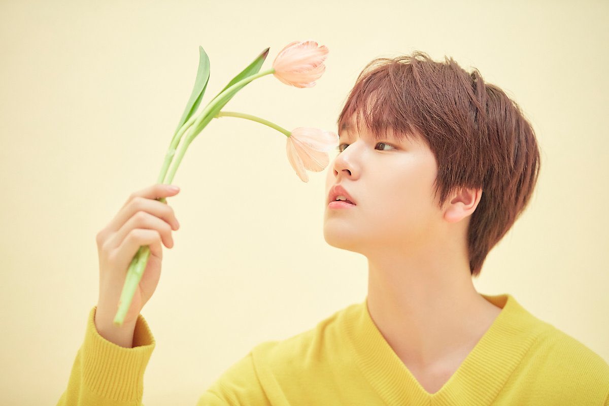 도현 이미지