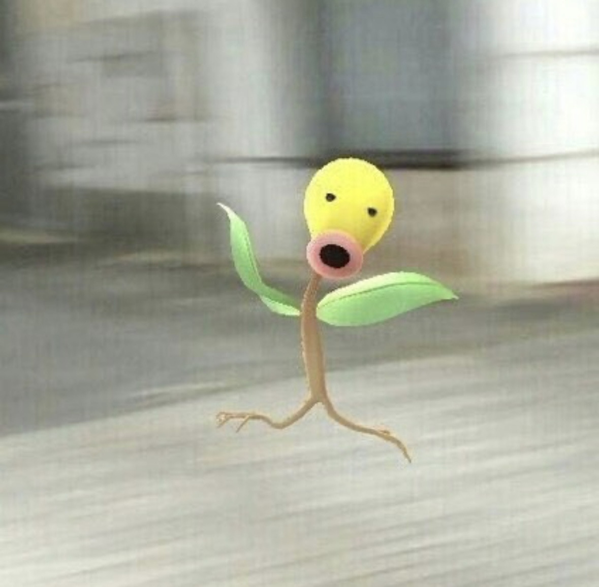 영서네 이미지