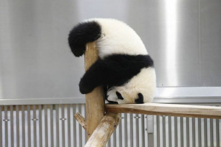 한결 이미지