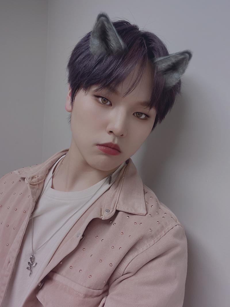 도현 이미지