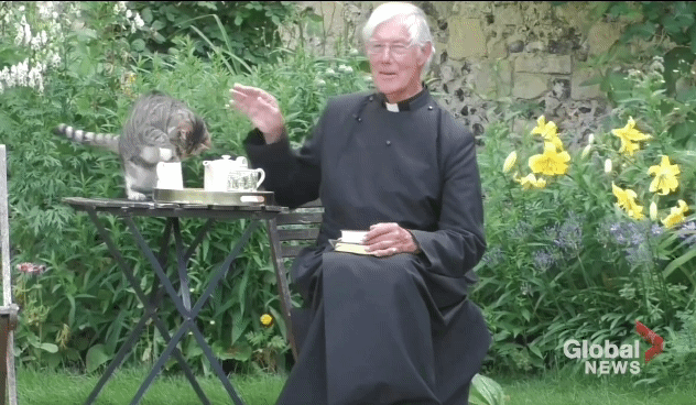 설교중인데 뒤에서 우유 훔는 고양이.gif | 인스티즈