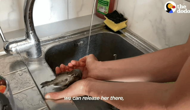 00758cfd512e761a8478b601f33794dd4073bd2b