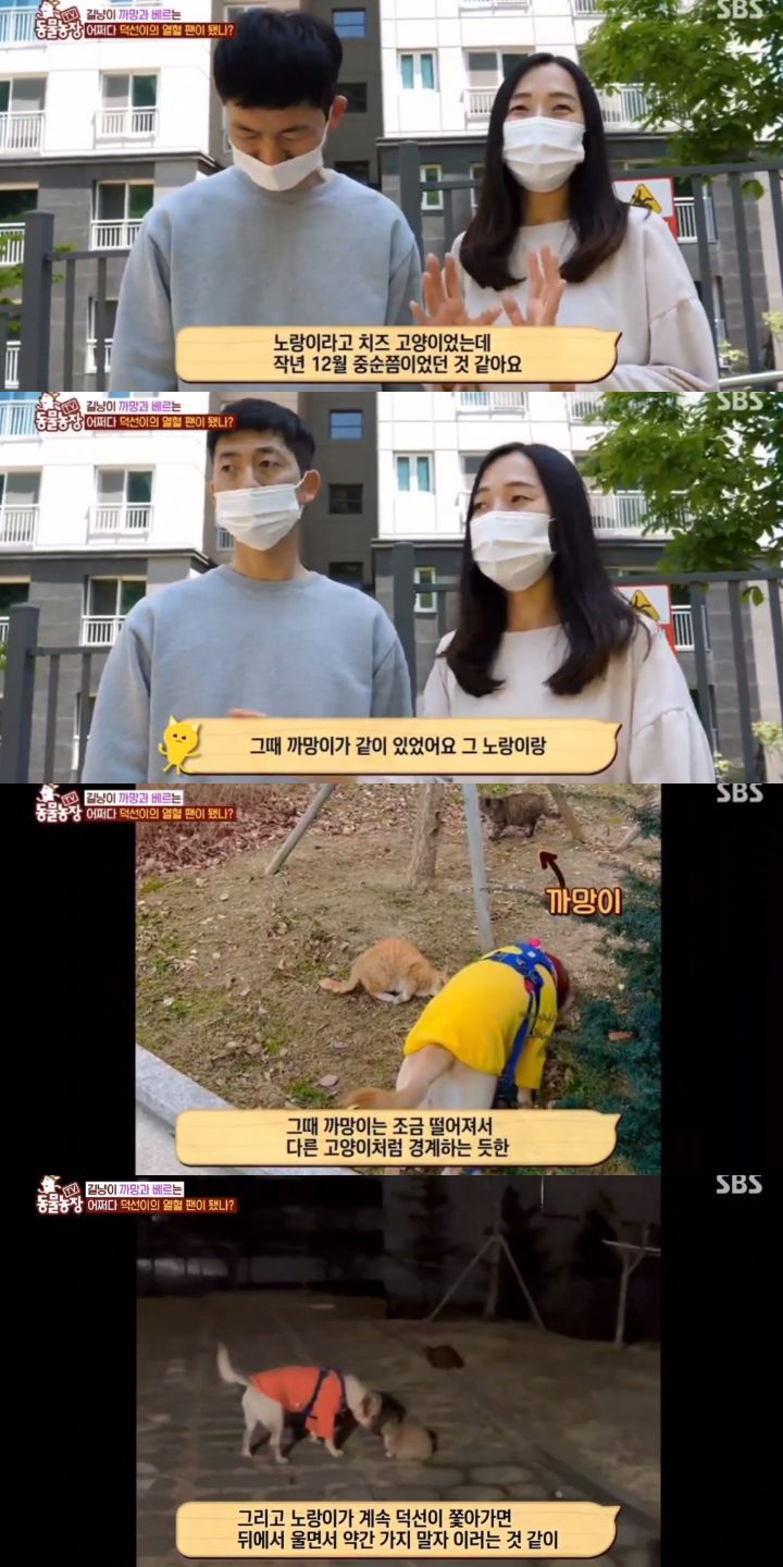 01b5def4c557fb192b4d340424832e925f4d4f25