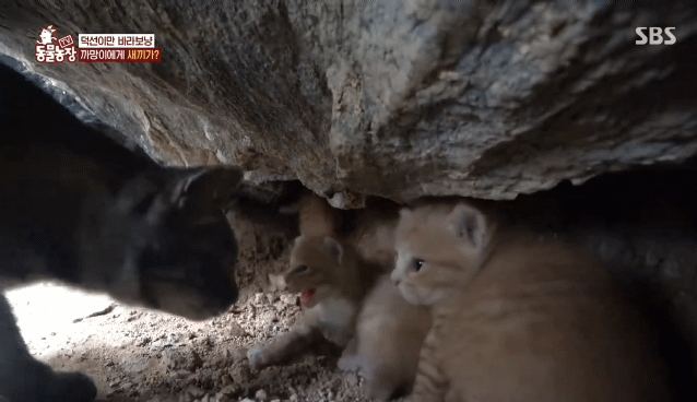 0699a0da960bd3685afa32edbf532db3acdb4a0f