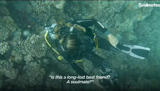 0b80aaf17ac9fdcf9f3e54782011a9e5c314d013