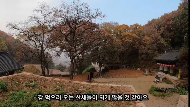 0ed80ccb229678fb2989e1f64e0b052f6155c702