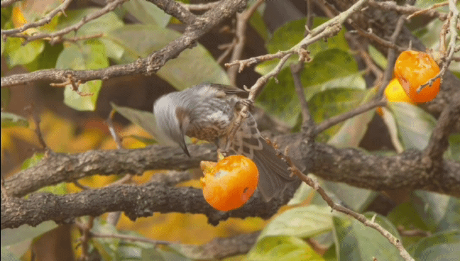 0f61ffa961d603193979f82eada0d0671c1e1d46