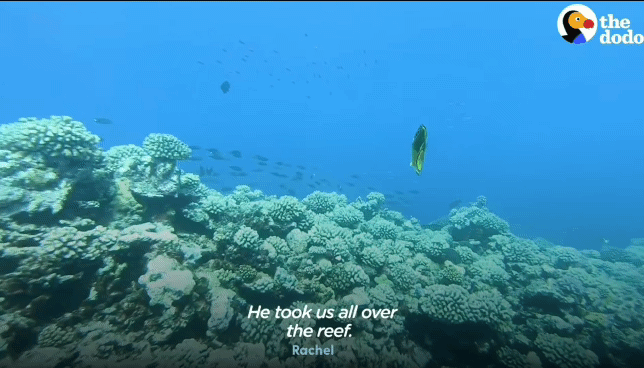 0fcbddd7d4d20c72b8f14b1ab7ba72e9d438f1c7