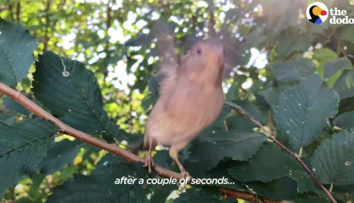 172def01944d90648d1fbbd821f98add04834910