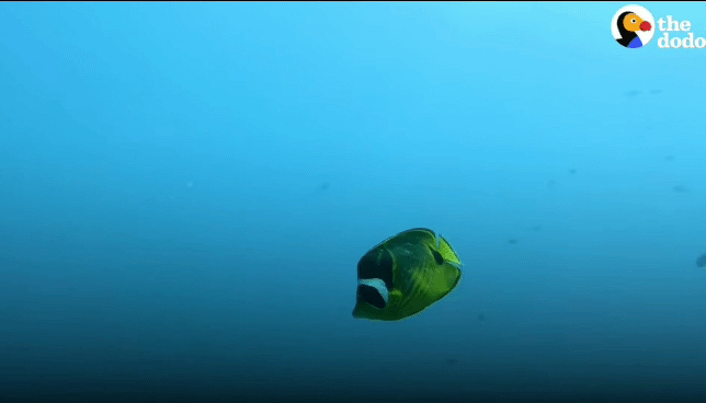 1829765d9577e4c6a1f39472812817ff1c4a9abc