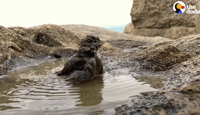 1b4beceebf7472f02a9e98ac6d931cf74c3f4c8a