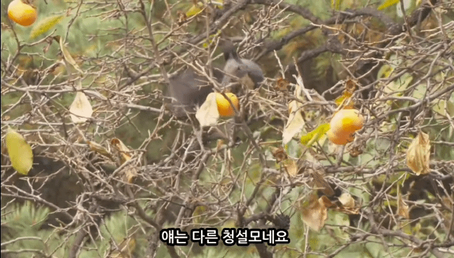 1cca4328e239692abdab8fe64c1a6ab28a8bec7e