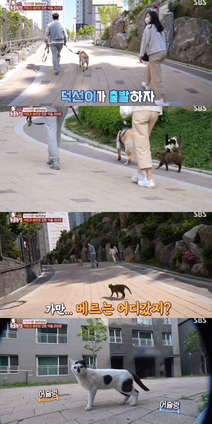 21370ab34d8af0111aed6e22c1564ac0d98030e9