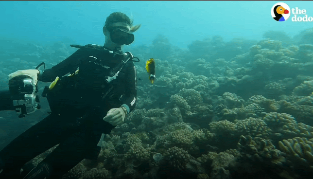 222e5c623bc0c14875668af1b1d95c8691846849